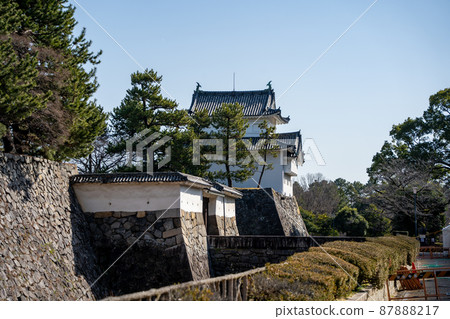 [愛知縣]名古屋城 87888217