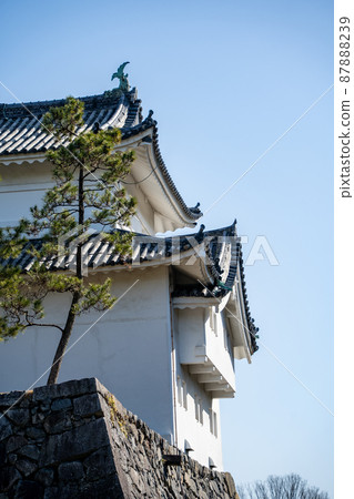 [愛知縣]名古屋城 87888239