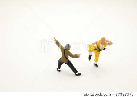 a mini of figure,  Kungfu Chinese Martial Art 87888375