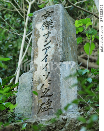 Okinawa Prefecture Yonaguni Island Tinda Bana Okinawa Prefecture Yonaguni Island Tinda Bana 87888891