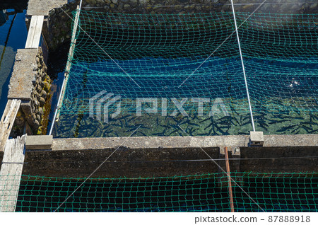 虹鱒魚養殖場 87888918