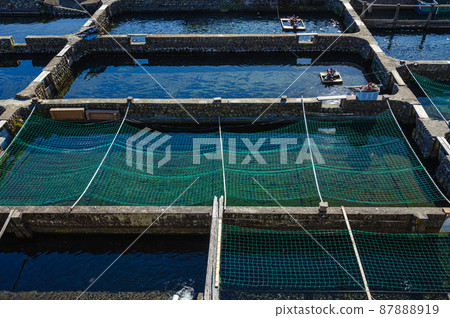 虹鱒魚養殖場 87888919