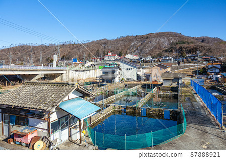 春天安曇野虹鱒魚養殖場 87888921