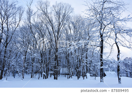 Snow scene of the villa area 87889495