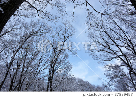 別墅區雪景 87889497