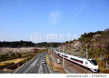 Spring Kairakuen and Limited Express Hitachi / Tokiwa 87890620