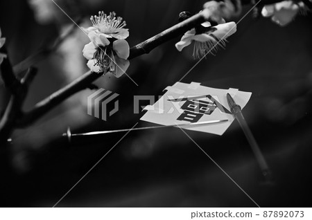 梅花和白果台旗 87892073
