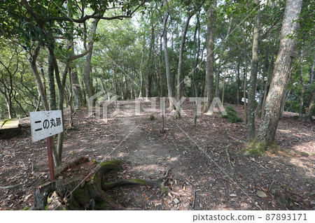 Tatsuno castle 87893171