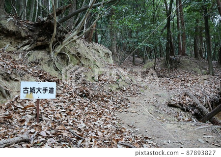 Tatsuno castle 87893827