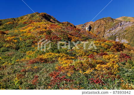 從百草之池附近看到的越後駒嶽山脊線 87893842