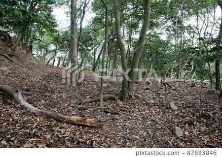 辰野城堡 87893846