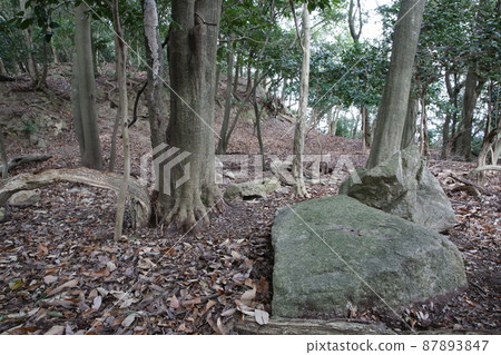 辰野城堡 87893847