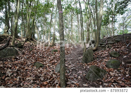 Tatsuno castle 87893872