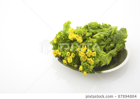 Spring ingredients 87894804