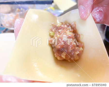 Chinese home-cooked, handmade Shanghai-style dogtan Chinese home-cooked, handmade Shanghai-style dogtan 87895040