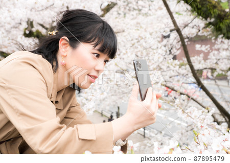 採取與智能手機的婦女櫻花 採取與智能手機的婦女櫻花 87895479