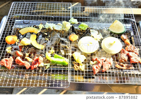 Barbecue camp 87895882