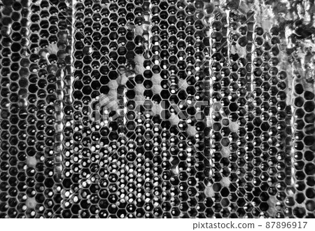 Drop of bee honey drip from hexagonal honeycombs Drop of bee honey drip from hexagonal honeycombs 87896917