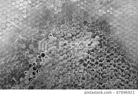 Drop of bee honey drip from hexagonal honeycombs Drop of bee honey drip from hexagonal honeycombs 87896921