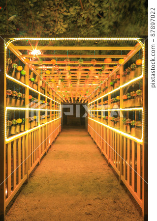 Arahito Shrine at night Arahito Shrine at night 87897022