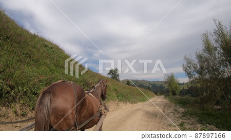 Horse pulls a chaise on a dirt path on a sunny day Horse pulls a chaise on a dirt path on a sunny day 87897166