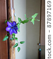 Fresh flowers of a single iron wire flower displayed between the floors 87897169