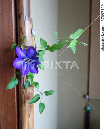 Fresh flowers of a single iron wire flower displayed between the floors Fresh flowers of a single iron wire flower displayed between the floors 87897169