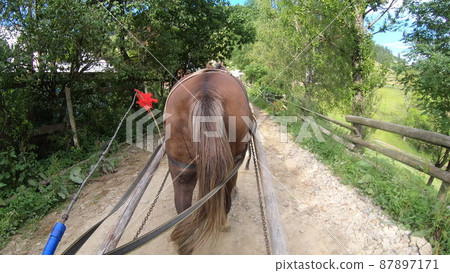 Horse pulls a chaise on a dirt path on a sunny day 87897171