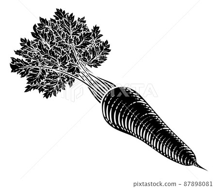 Carrot Vegetable Vintage Woodcut Illustration 87898081