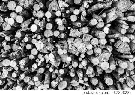Photography on theme big wall of stacked oak tree logs in cracks Photography on theme big wall of stacked oak tree logs in cracks 87898225