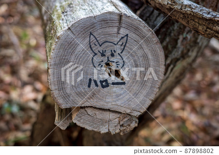 在日本岡山山區發現的塗鴉 87898802