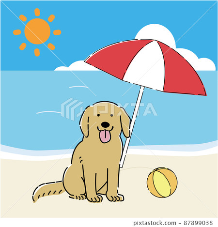 Dog 2024 beach umbrella