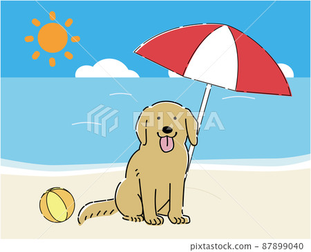 Dog beach umbrella sale