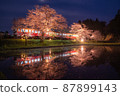 Spring full bloom  87899143