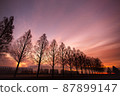 Morning glow 87899147
