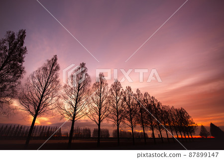 Morning glow 87899147