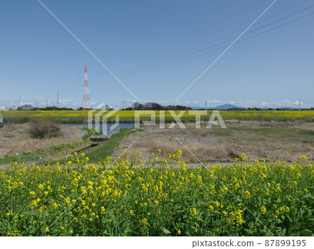 Sugito Town強姦在江戶川大堤沿岸開花 87899195