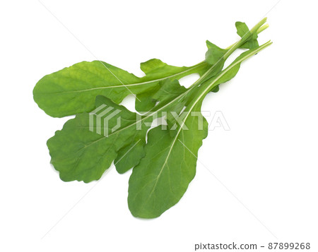 Herb arugula 87899268