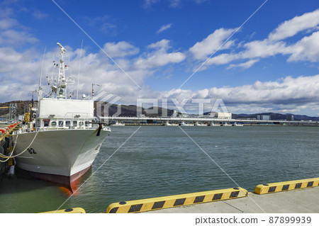 The longest fish market in the world, Ishinomaki Fishing Port, Ishinomaki City The longest fish market in the world, Ishinomaki Fishing Port, Ishinomaki City 87899939