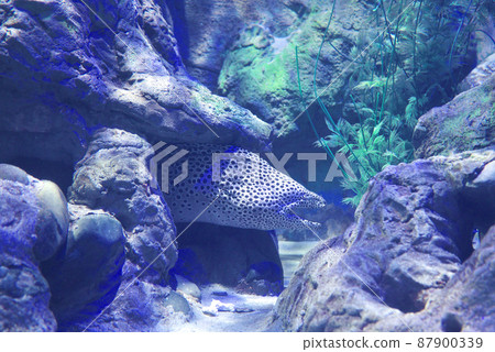 Vincom 水族館 / 越南河內時代城 Vincom 水族館 / 越南河內時代城 87900339
