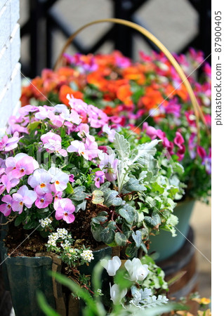 Nice gardening 87900405