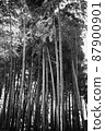 Bamboo forest 3 monochrome 87900901