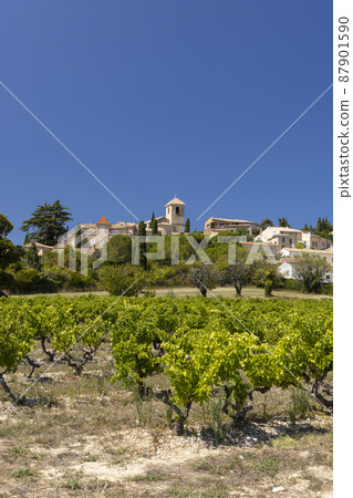 Typical vineyard near Vinsobres, Cotes du Rhone, France 87901590