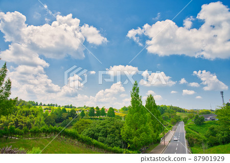 [大阪] 7月·被大自然包圍的主題公園<<綠色博物館Harvest Hill>> 87901929