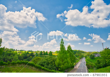 [大阪] 7月·被大自然包圍的主題公園<<綠色博物館Harvest Hill>> 87901931