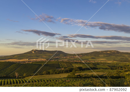 Vineyards under Palava near Dolni Dunajovice, Southern Moravia, Czech Republic Vineyards under Palava near Dolni Dunajovice, Southern Moravia, Czech Republic 87902092