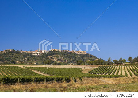 Tuscany's most famous vineyards near town Montalcino in Italy 87902224