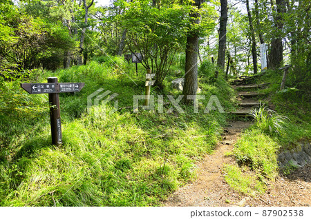 足柄山脈的矢倉岳，足柄萬葉公園的登山口 87902538
