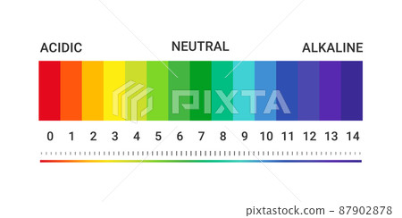 pH value scale chart for acid-alkaline solution. Acid-base balance infographic isolated on white background. Indicator for concentration of hydrogen ion in solution. Vector illustration 87902878