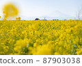 油菜花和富士山 87903038